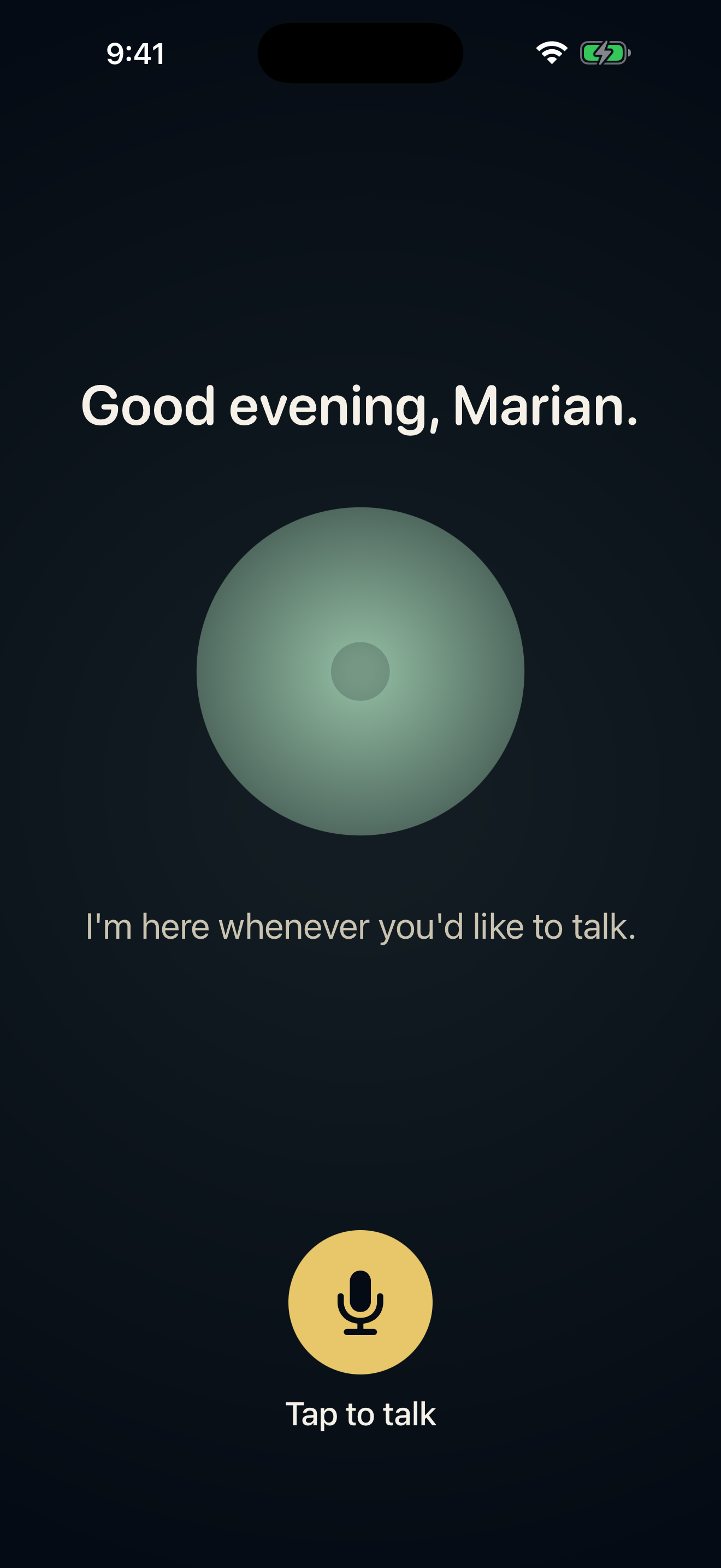 SeniorSage Companion mode — a single large button to tap and talk